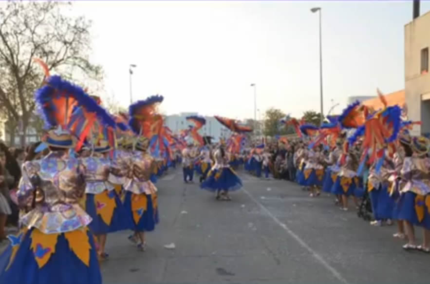 2017-Los pájaros