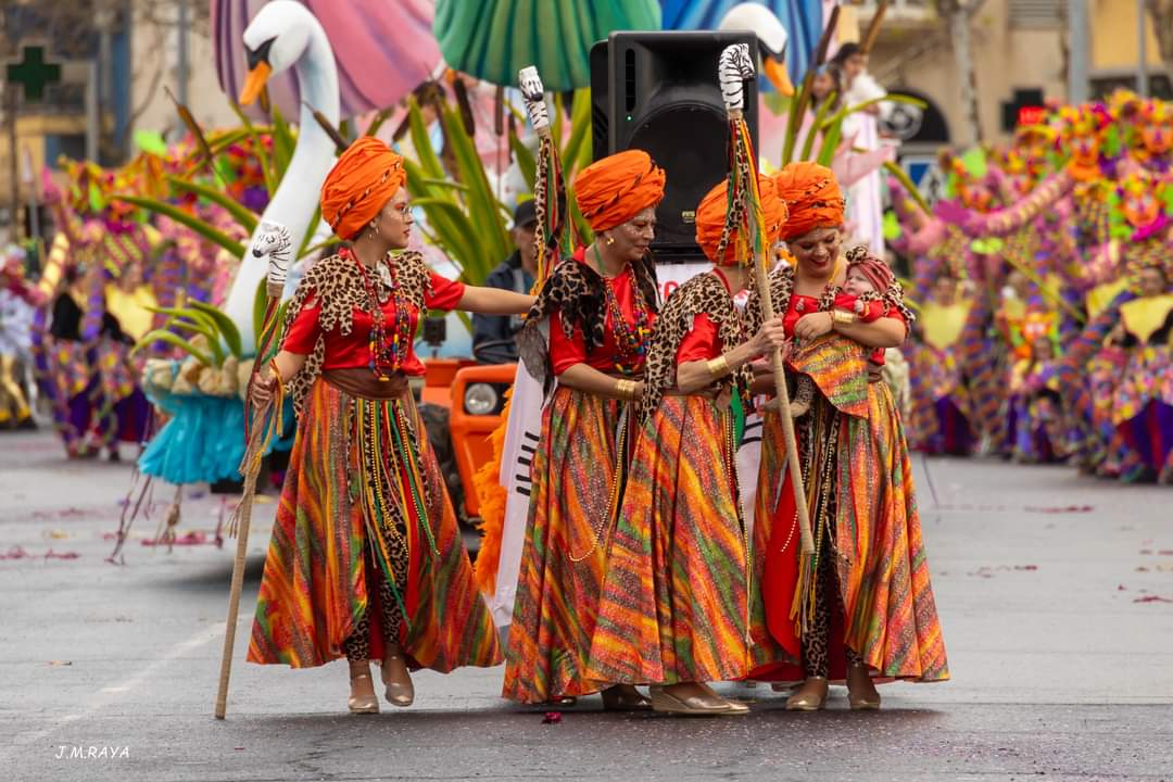 2024-Jandinga africana